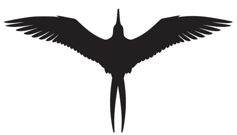 Iwa Diecut Sticker