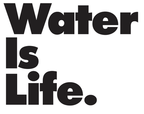 Water Is Life Diecut Sticker