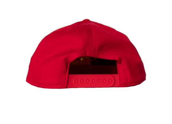 Aloha Aina Snap Back (5 Panel)